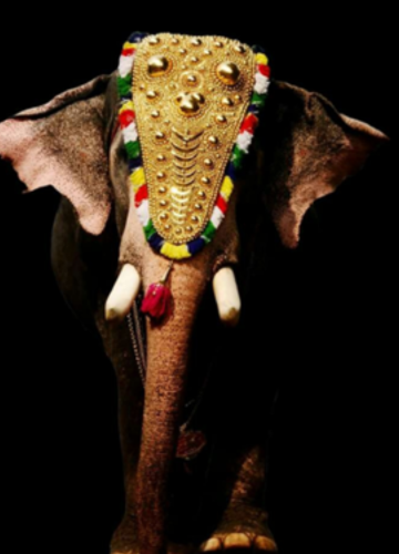 Jewellery image
