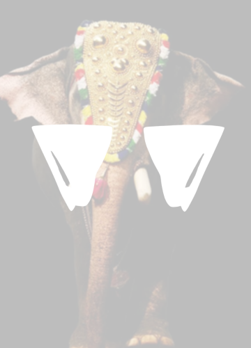 Jewellery image